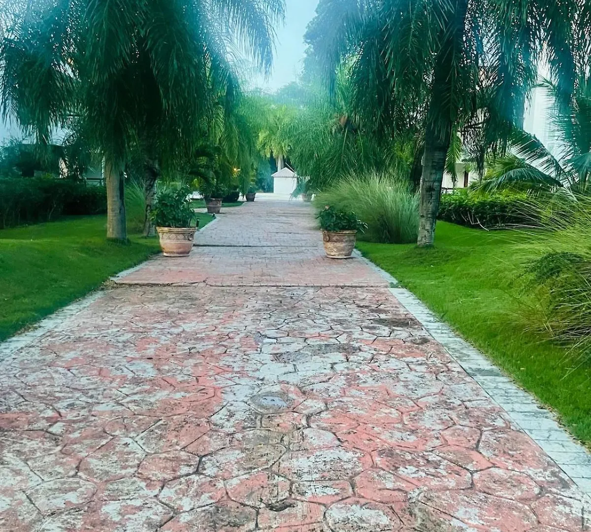 Apartment Tipo Villa, Guavaberry Villa Complex Los Conucos 0*,